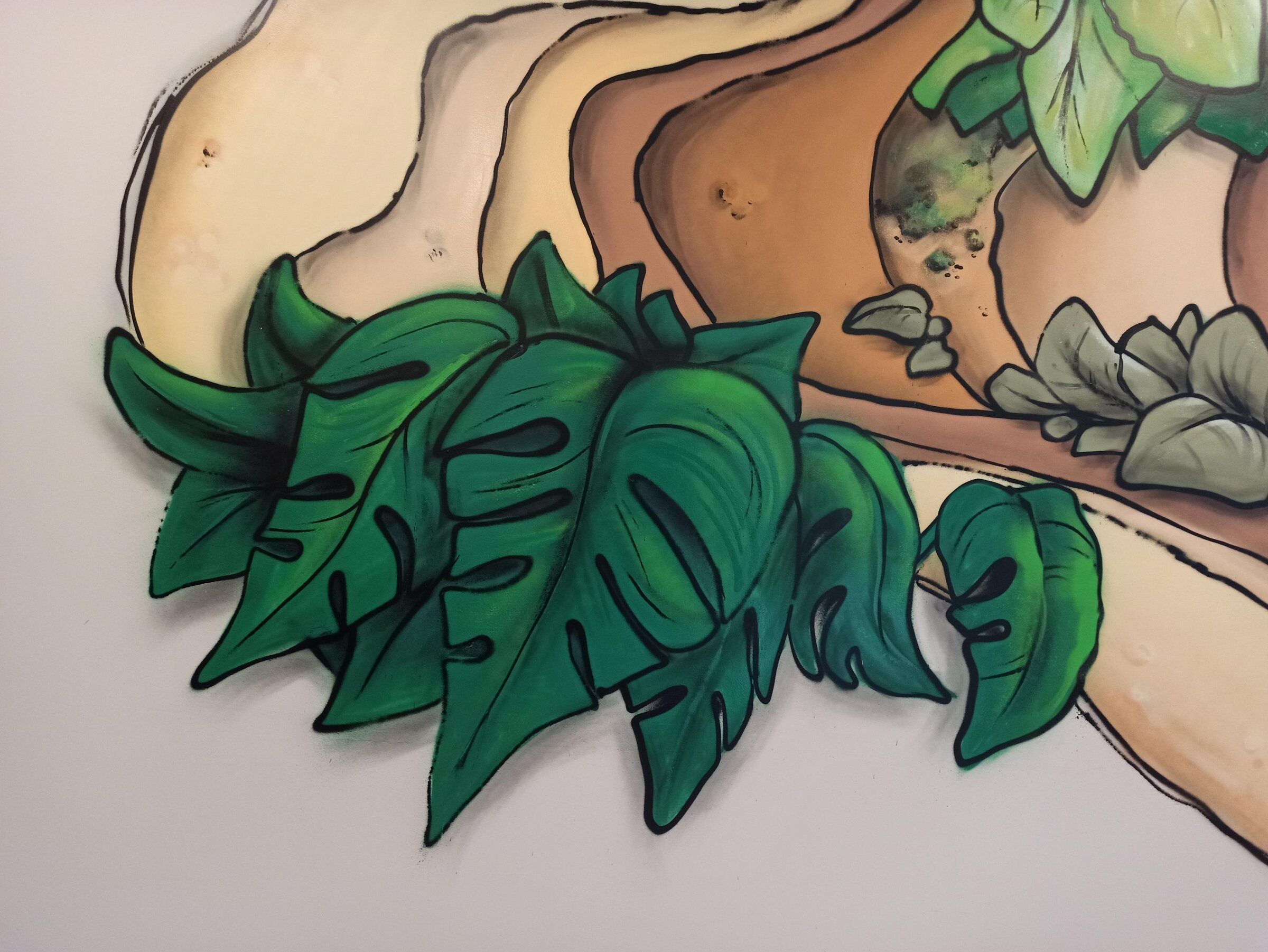 Détail des feuilles de monstera